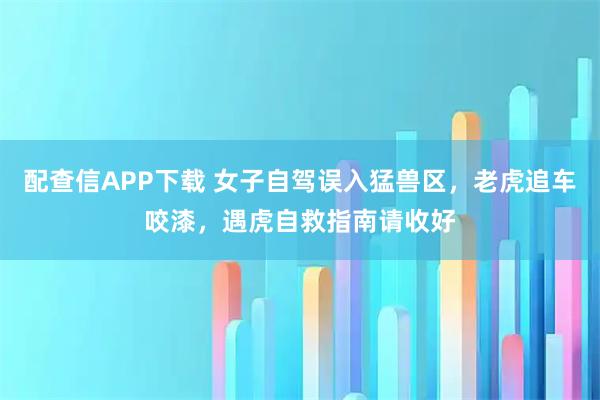 配查信APP下载 女子自驾误入猛兽区，老虎追车咬漆，遇虎自救指南请收好