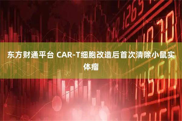 东方财通平台 CAR-T细胞改造后首次清除小鼠实体瘤