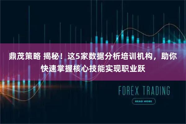 鼎茂策略 揭秘！这5家数据分析培训机构，助你快速掌握核心技能实现职业跃