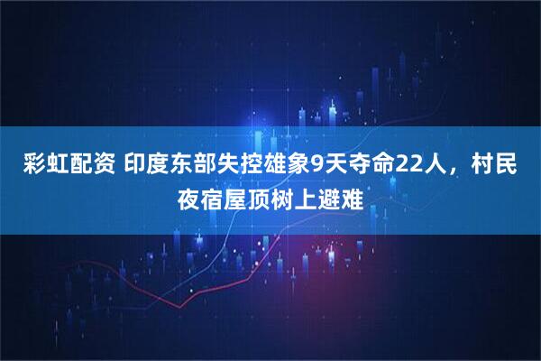 彩虹配资 印度东部失控雄象9天夺命22人，村民夜宿屋顶树上避难