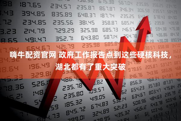 嗨牛配资官网 政府工作报告点到这些硬核科技，湖北都有了重大突破